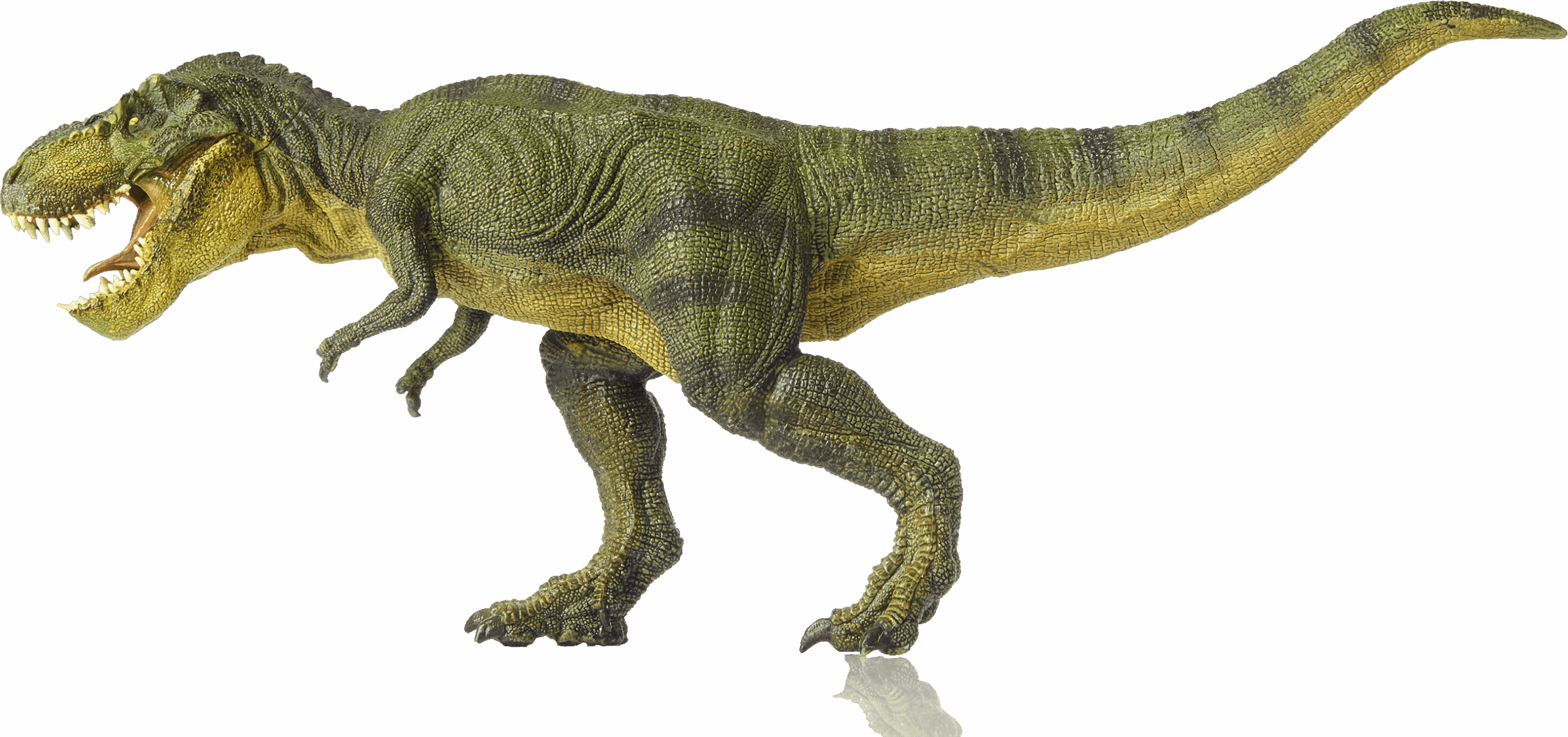 Terry our T-Rex